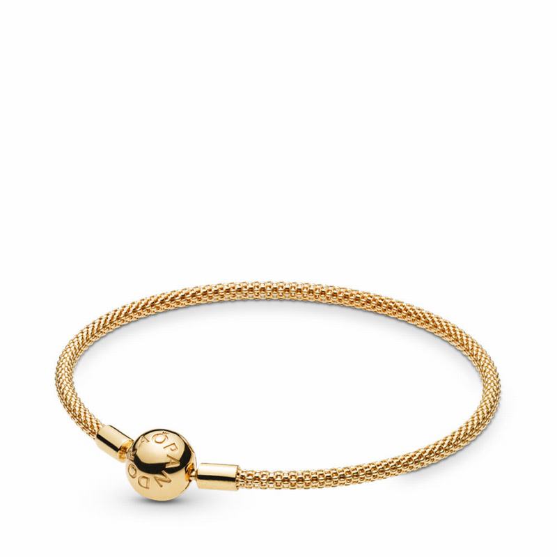 Pandora Shine™ Mesh Bracelet Online NZ, 18ct Gold Plated (345209-RJV)